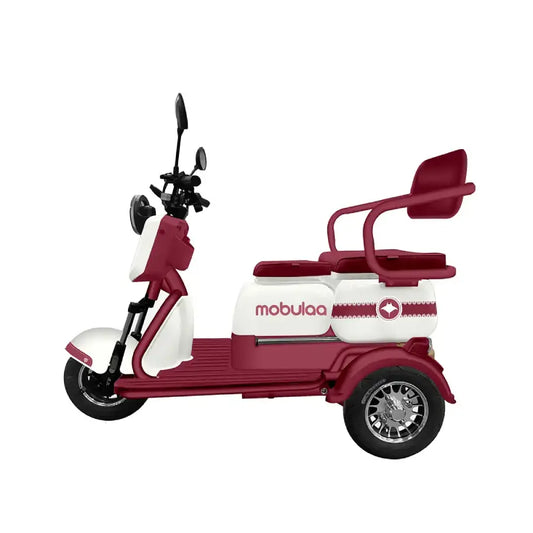 M1 Triciclos Eléctricos Mobulaa