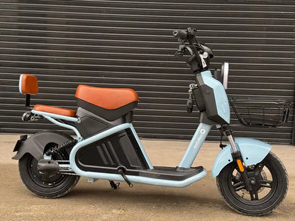 barata y Buena bicicleta eléctrica eb10