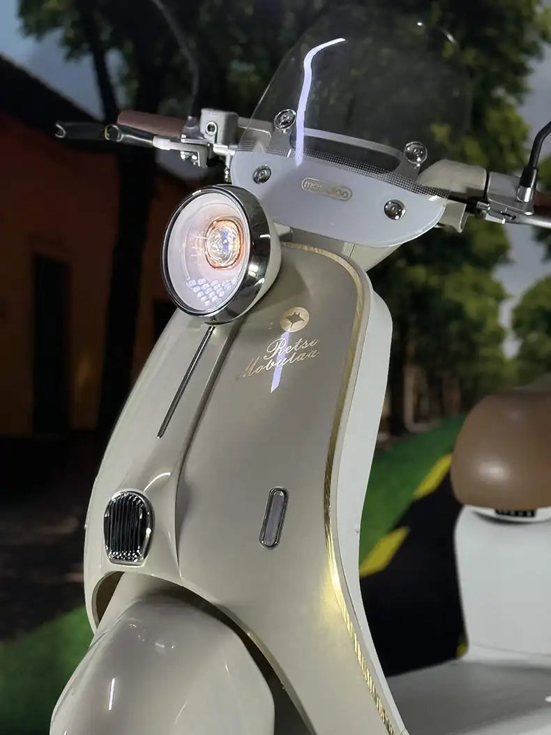 electric bicicleta mobulaa