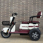 Triciclo para 4 pasajeros