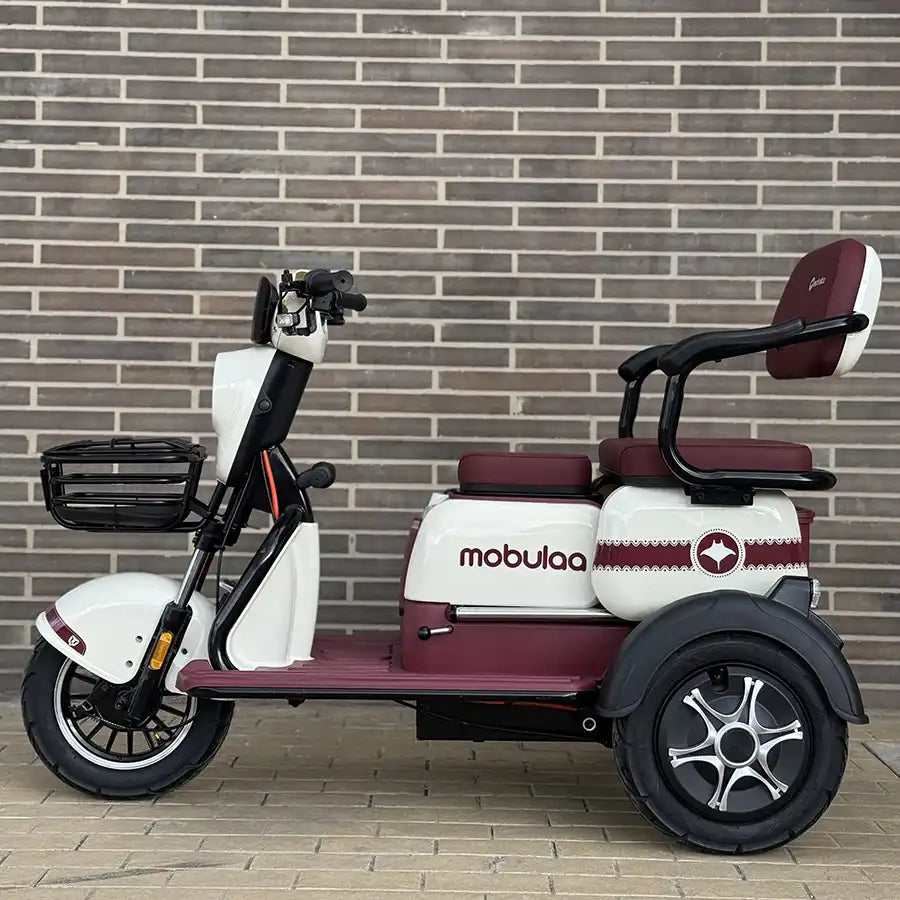 Triciclo para 4 pasajeros