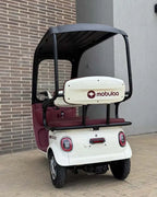 Triciclo para adultos